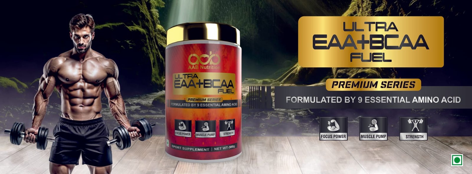 Web Banner- EAA